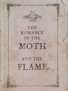 The Romance of the Moth and the Flame