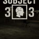Subject 33
