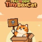Hajimeow: Tiny Box Cat