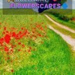 Solitaire Flowerscapes