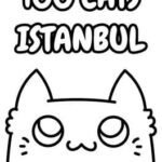 100 Cats Istanbul