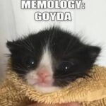 Memology: Goyda