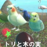 Birds and Nuts