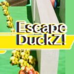 Escape DuckZ!