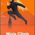Ninja Climb