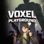 Voxel Playground