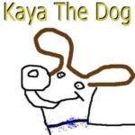 Kaya The Dog