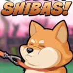 Stubborn Shibas
