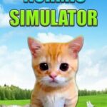 Normis Simulator