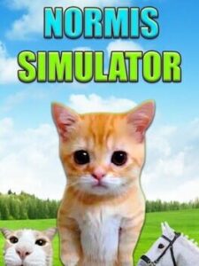 Normis Simulator