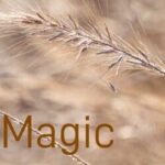 Magic Wand