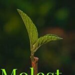 Molest
