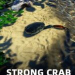 Strong Crab
