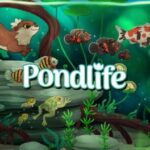 Pondlife