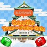 Is it True? Castle True-or-False Quiz