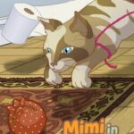 Mimi in Meowndering House