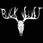 Buck Velvet