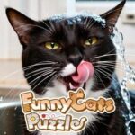 Funny Cats Puzzle