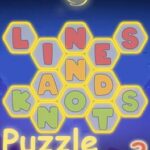 Puzzle: Lines and Knots 3