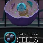 Looking Inside Cells