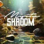 Mystic Shroom