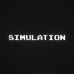 Simulation