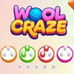 Wool Craze