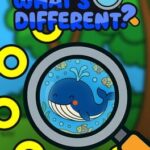 What's Different?