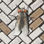 A Fly in the Array
