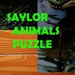 Saylor Animals Puzzle