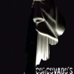 Corcovado's Night Guard