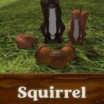 Squirrel Simulator