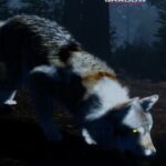 Untamed Kingdom