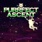 Purrfect Ascent