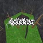 Colobus