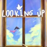 Looking Up