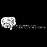 The Slow Process of Pulling Out My Guts