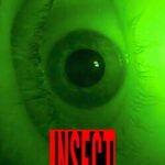 Insect