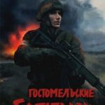 Ukrainian Warfare: Gostomel Heroes