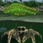 A little Jumpingspider's Garden Adventure (Day 1+2)