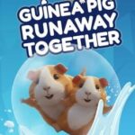 Guinea Pig Runaway Together