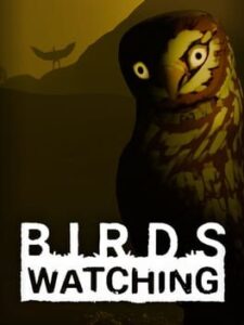 Birds Watching