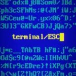 Terminal ESC
