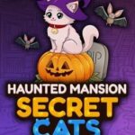 Secret Cats: Haunted Mansion