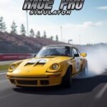 Car Race Pro Simulator