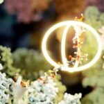 Meowtabolism: Examining Feline Behavior Within Unicellular Algae