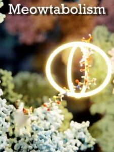 Meowtabolism: Examining Feline Behavior Within Unicellular Algae