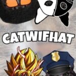 Catwifhat