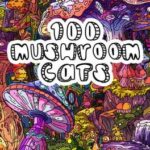 100 Mushroom Cats