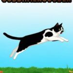 A Cat named Gossamergoober